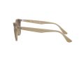 Ray-Ban Ochelari de Soare RB 4259 6166/13