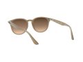 Ray-Ban Ochelari de Soare RB 4259 6166/13