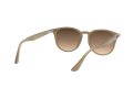 Ray-Ban Ochelari de Soare RB 4259 6166/13