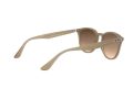 Ray-Ban Ochelari de Soare RB 4259 6166/13