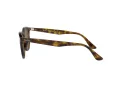 Ray-Ban Ochelari de Soare RB 4259 710/73