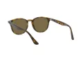 Ray-Ban Ochelari de Soare RB 4259 710/73