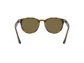 Ray-Ban Ochelari de Soare RB 4259 710/73