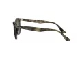 Ray-Ban Ochelari de Soare RB 4259 731/E8
