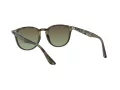 Ray-Ban Ochelari de Soare RB 4259 731/E8