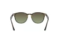 Ray-Ban Ochelari de Soare RB 4259 731/E8