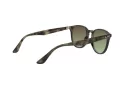 Ray-Ban Ochelari de Soare RB 4259 731/E8