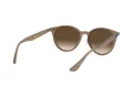 Ray-Ban Ochelari de Soare RB 4305 6166/13