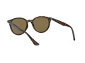 Ray-Ban Ochelari de Soare RB 4305 710/73 53