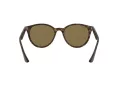 Ray-Ban Ochelari de Soare RB 4305 710/73 53