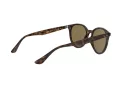 Ray-Ban Ochelari de Soare RB 4305 710/73 53