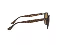 Ray-Ban Ochelari de Soare RB 4305 710/83 53