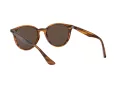 Ray-Ban Ochelari de Soare RB 4305 820/73