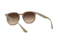 Ray-Ban Ochelari de Soare RB 4306 616613 54