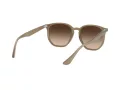Ray-Ban Ochelari de Soare RB 4306 616613 54