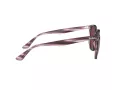 Ray-Ban Ochelari de Soare RB 4306 6431/75 54
