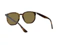 Ray-Ban Ochelari de Soare RB 4306 710/73 54