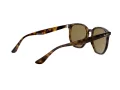 Ray-Ban Ochelari de Soare RB 4306 710/73 54