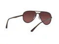 Ray-Ban Ochelari de Soare RB 4320/CH 710/6B