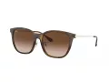 Ray-Ban Ochelari de Soare RB 4333D 710/13