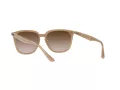 Ray-Ban Ochelari de Soare RB 4362 616613 55
