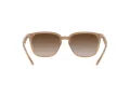Ray-Ban Ochelari de Soare RB 4362 616613 55