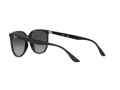 Ray-Ban Ochelari de Soare 4378 601/8G 54