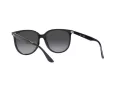 Ray-Ban Ochelari de Soare 4378 601/8G 54