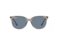 Ray-Ban Ochelari de Soare RB 4378 6572/2V 54