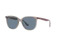 Ray-Ban Ochelari de Soare RB 4378 6572/2V 54