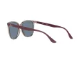 Ray-Ban Ochelari de Soare RB 4378 6572/2V 54