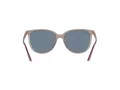 Ray-Ban Ochelari de Soare RB 4378 6572/2V 54