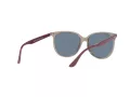 Ray-Ban Ochelari de Soare RB 4378 6572/2V 54