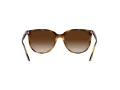 Ray-Ban Ochelari de Soare RB 4378 710/13 54