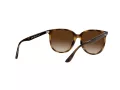 Ray-Ban Ochelari de Soare RB 4378 710/13 54
