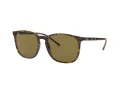 Ray-Ban Ochelari de Soare RB 4387 710/73 56