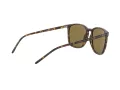 Ray-Ban Ochelari de Soare RB 4387 710/73 56