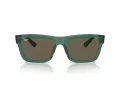 Ray-Ban Warren Ochelari de Soare RB 0RB4396 6681/3 54