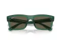 Ray-Ban Warren Ochelari de Soare RB 0RB4396 6681/3 54