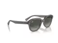 Ray-Ban Erik Ochelari de Soare RB 0RB4398 667571 51