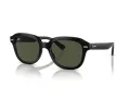 Ray-Ban Erik Ochelari de Soare RB 4398 901/31 51