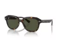Ray-Ban Erik Ochelari de Soare RB 4398 902/31 53