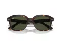 Ray-Ban Erik Ochelari de Soare RB 4398 902/31 53