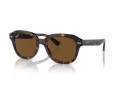 Ray-Ban Erik Ochelari de Soare RB 4398 902/57 51