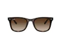 Ray-Ban Ochelari de Soare RB 4420 710/13 65