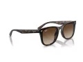 Ray-Ban Ochelari de Soare RB 4420 710/13 65