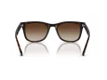 Ray-Ban Ochelari de Soare RB 4420 710/13 65