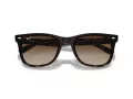 Ray-Ban Ochelari de Soare RB 4420 710/13 65