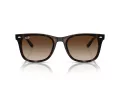 Ray-Ban Ochelari de Soare RB 4420 710/13 65