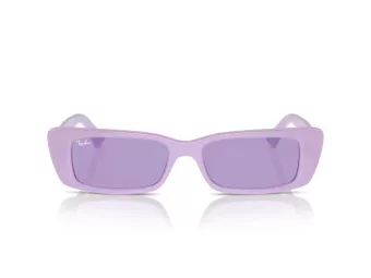 Ray-Ban Teru Ochelari de Soare RB 4425 67581A 54